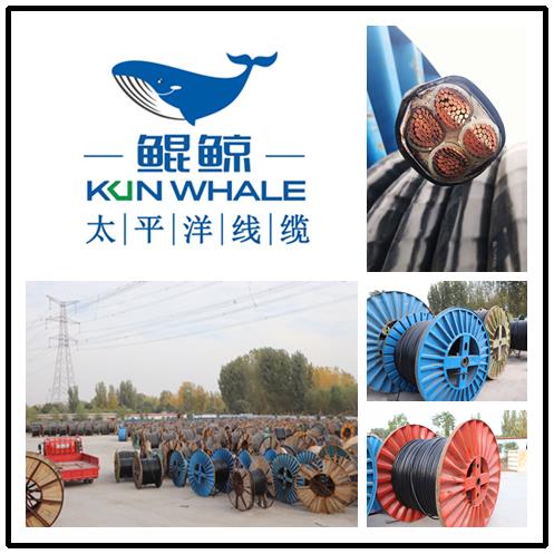 河南河南太平洋線纜國產電纜十大品牌排名