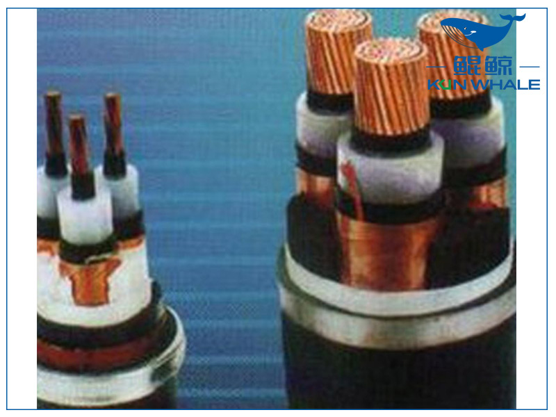 河南太平洋電纜淺談想要家裝電線不被坑，那就看好這五步